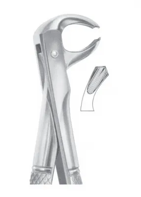Fig. 73R lower molars right 
